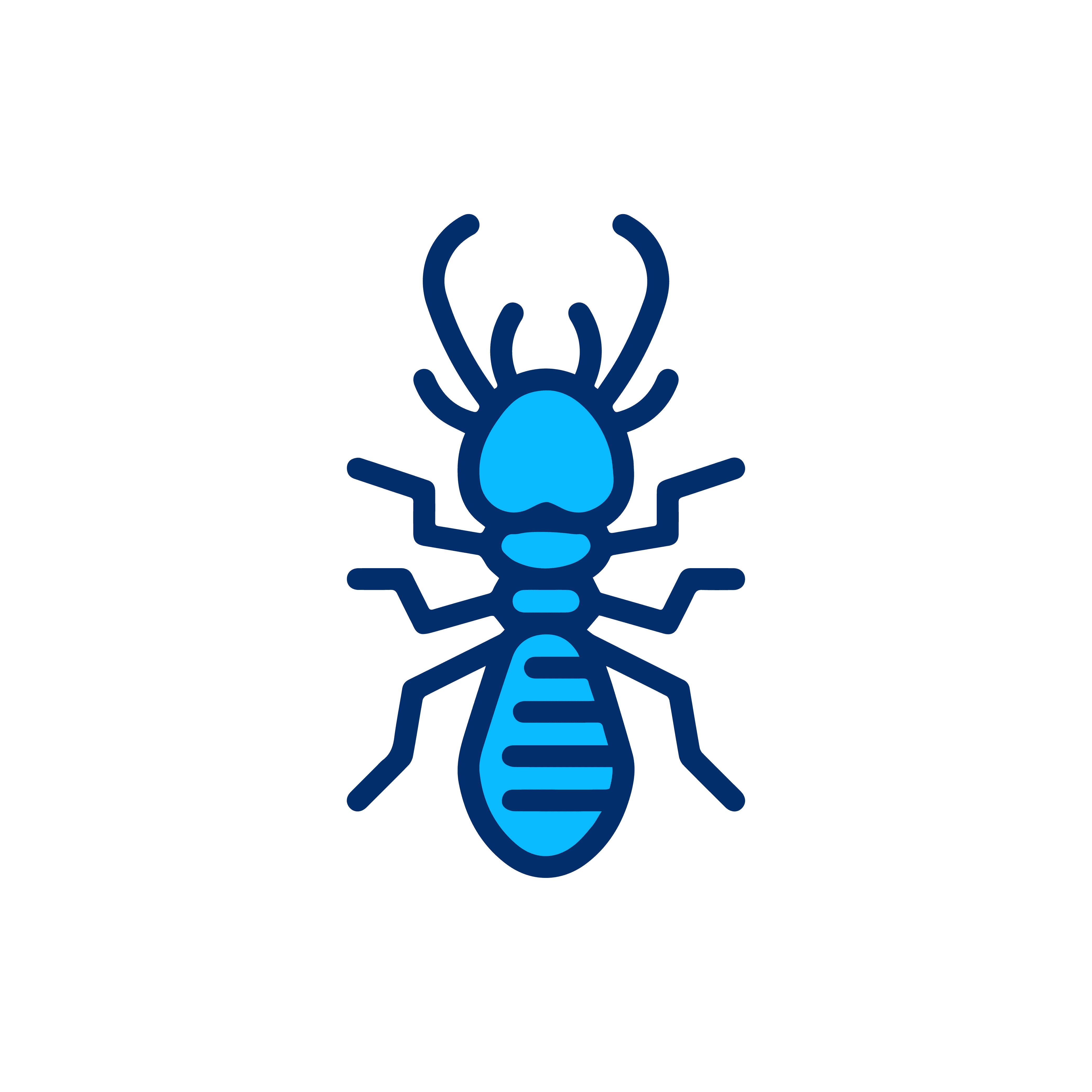 Termite Control